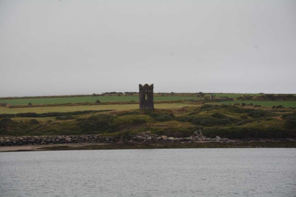 DSC_5432Mittel_.JPG